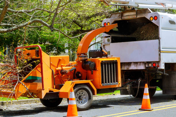 Best Tree Preservation Services  in Soledad, CA